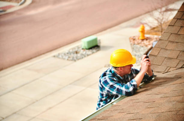 Best Roof Gutter Cleaning  in Candlewick Lake, IL