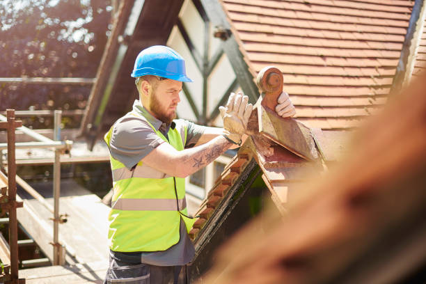 Best Flat Roof Repair Services  in Candlewick Lake, IL